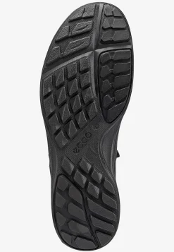 Sneaker Terracruise LT